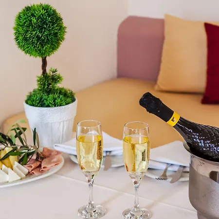 ノーチラス ドーム 3*