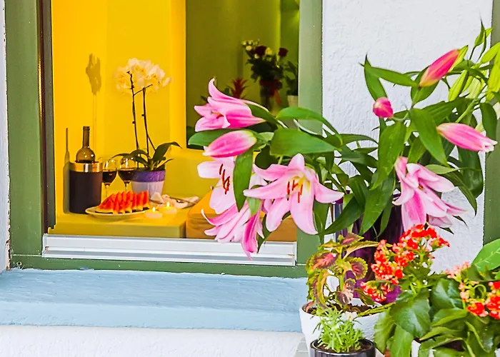 鹦鹉螺圆顶酒店 3* 费拉