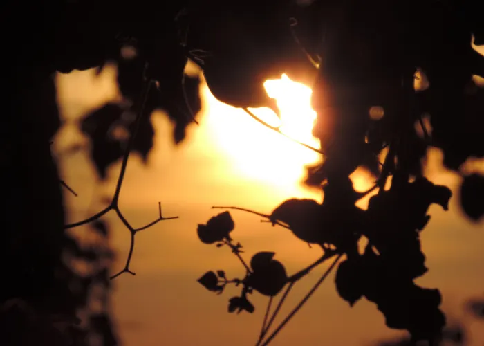 鹦鹉螺圆顶酒店